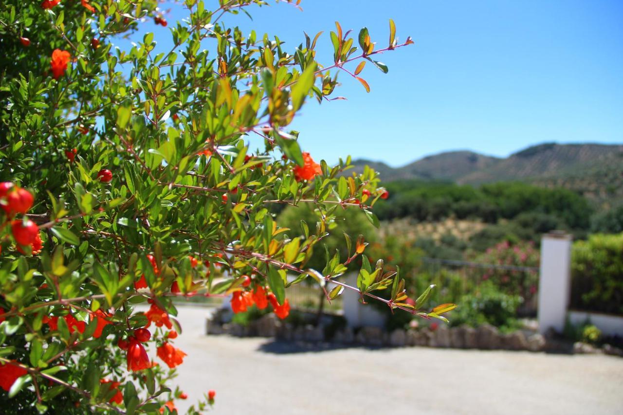 Cortijo La Presa *